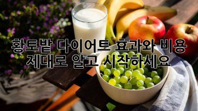 황토밭 다이어트 효과와 비용, 제대로 알고 시작하세요!