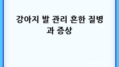우리 강아지, 발 건강 지켜주기🐶🐾