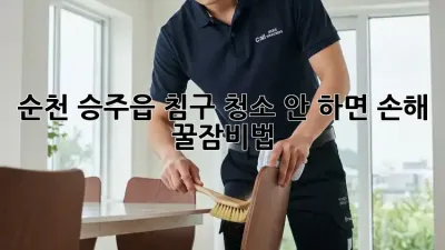순천 승주읍 침구 청소🚨 안 하면 손해! 꿀잠비법😴