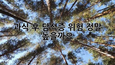 과식 후 담석증 위험, 정말 높을까요?